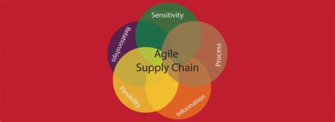 ProConnect Supply Chain SolutionsAgile Supply Chain | ProConnect ...