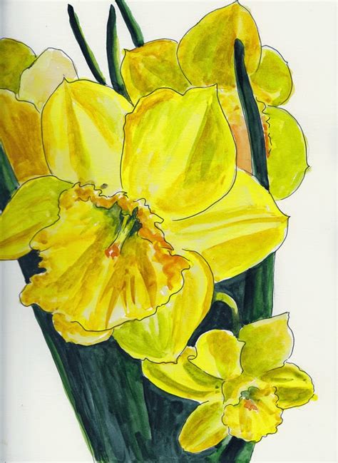 DAILY PAINTERS MARKETPLACE: DAFFODIL WATERCOLOR PAINTING