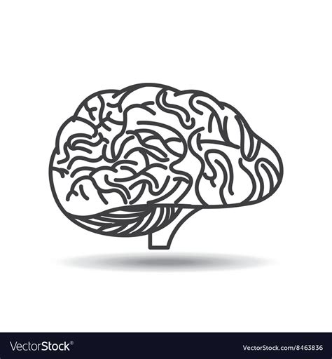 Brain storm design Royalty Free Vector Image - VectorStock