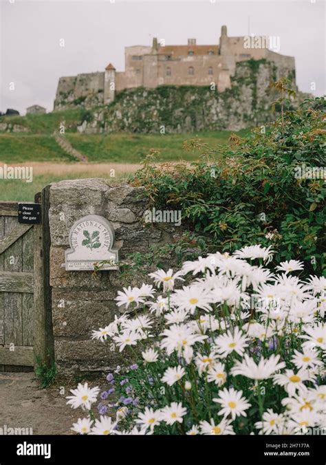 Gertrude Jekyll walled National Trust garden in Holy Island Lindisfarne ...