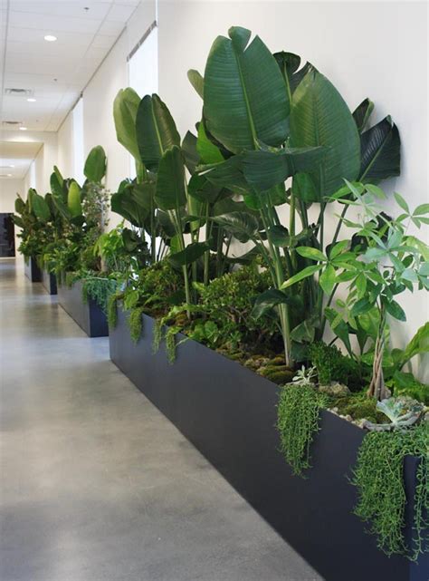 Biophilic & Sustainable Interior Design · Biophilic design: nature in ...