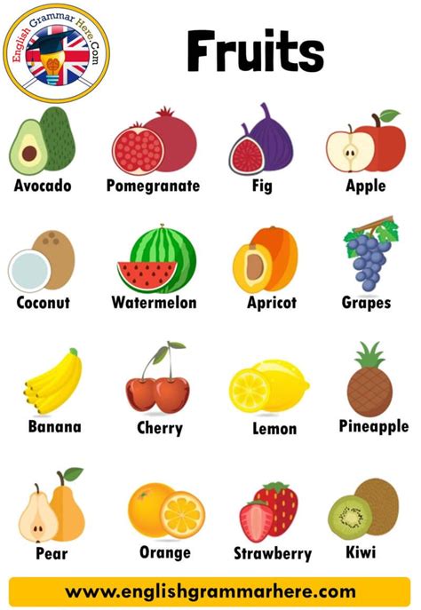 Definition Of Fruit For Science