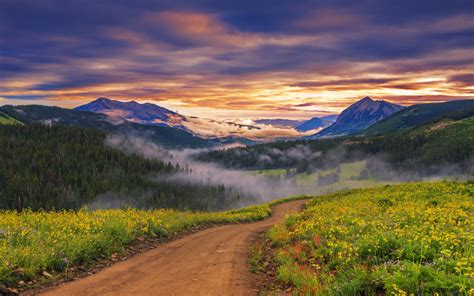 nature, Landscape, Sunset, Wildflowers, Valley, Road, Forest, Mountain ...