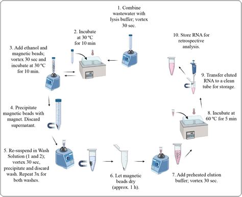 Development and optimization of a new method for direct extraction of ...