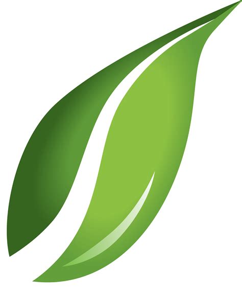 Green Leaf Logo Png