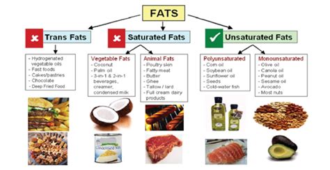 Carbohydrates, proteins, fats and water-soluble vitamins. — lesson ...