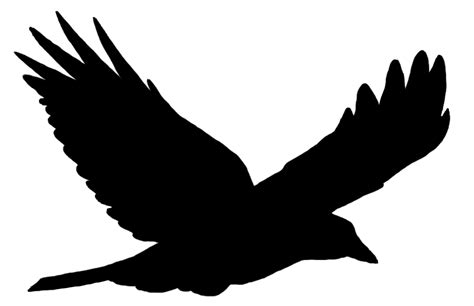 Bird Flying Silhouette | Wallpapers Gallery