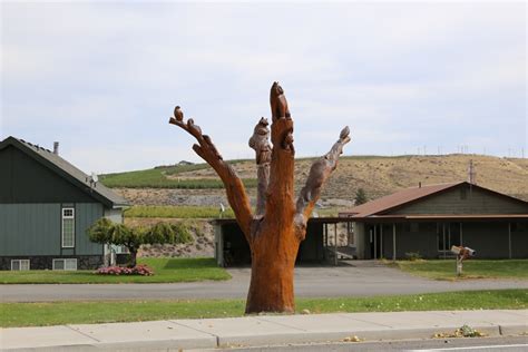 Chainsaw Artist Transforms Trees into Art – Ruth E. Hendricks Photography