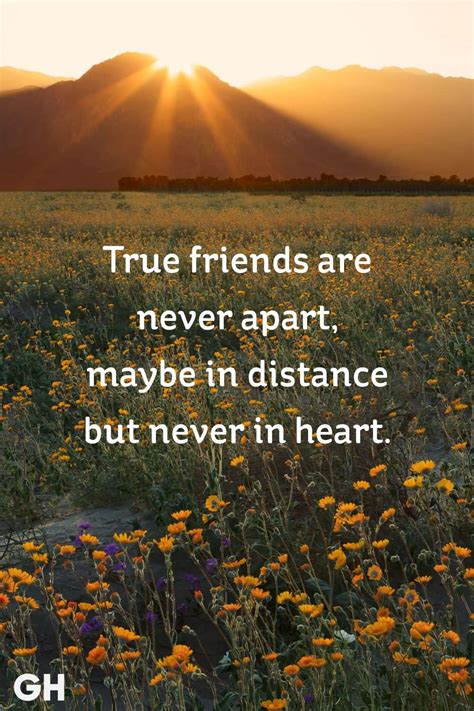 25 Best True Friendship Quotes For Real True Relationship - Preet Kamal