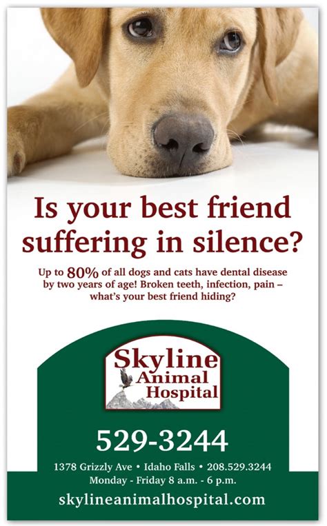 bff-suffering-dog-dental-ad-No-date-636x1024 • Skyline Animal Hospital