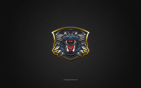 Nottingham Panthers, British hockey club, EIHL, blue logo, gray carbon ...