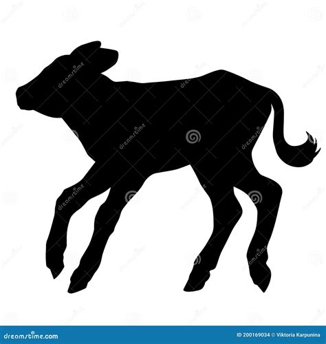 Hand Drawn Silhouette of Walking Calf Isolated on White Background ...