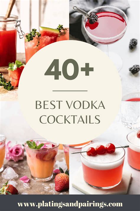 Vodka Cocktails: A Beginners Guide To Vodka Cocktail Recipes Home Bar ...