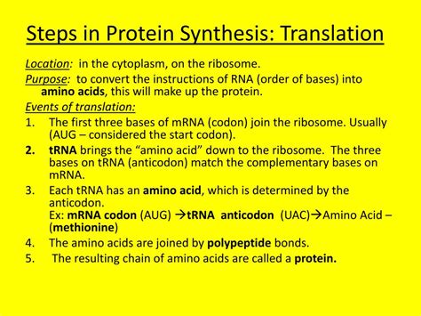 Synthesis