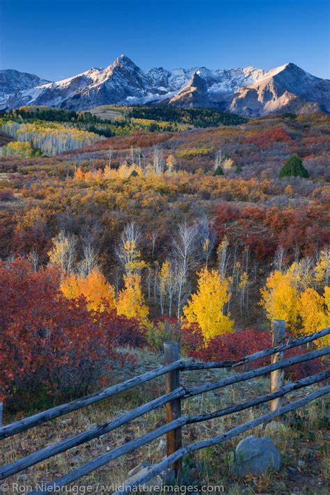 Autumn colors, Dallas Divide, Colorado. | San Juan Mountains, Colorado ...