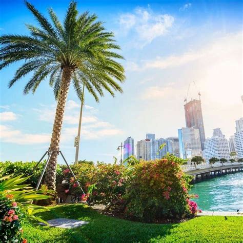 Did You Know Miami Had Public Gardens This Stunning?! - Mapping Megan