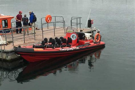 Dingle Dolphin Boat Tours! - On The QT