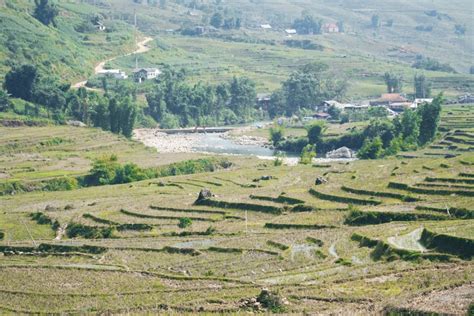 Vietnam Sapa Rice Fields) - A Vagabond Life