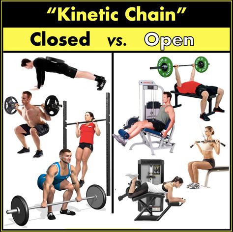 Closed and Open Kinetic Chain Exercises • Bodybuilding Wizard