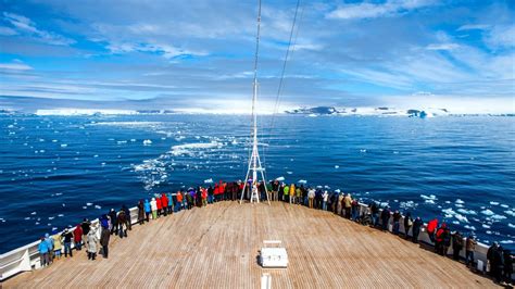 Antarctica Cruise Tips for beginners