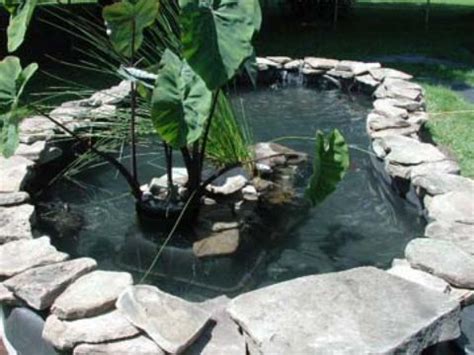 6 DIY Turtle Pond Plans You Can Make Today! (With Pictures) | Hepper