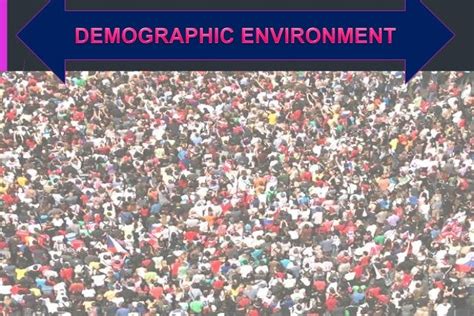 Demographic environment