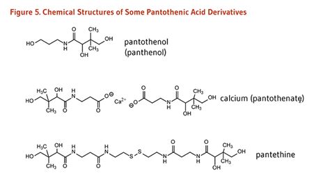 Pantothenic Acid | Linus Pauling Institute | Oregon State University