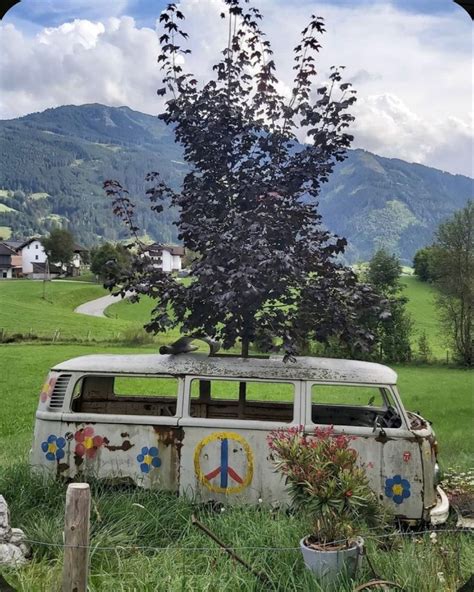 Pin de Richard Barrington en VW Bus, Volkswagen, Air-cooled, #VW | Combi