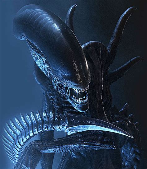 Aliens - Xenomorphs - Species Profile - Movies, comics, games, etc ...