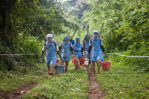 Completion of demining operations in DRC | Humanity & Inclusion US