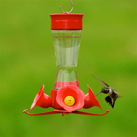 Parts Of A Hummingbird Feeder