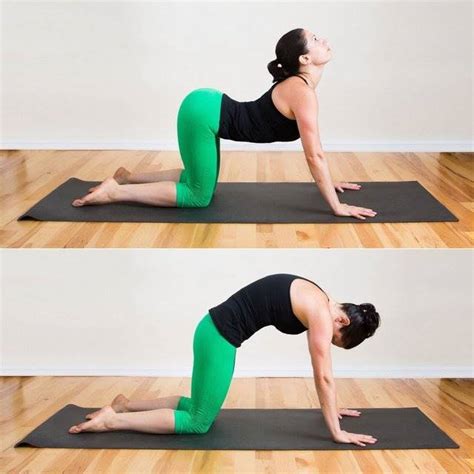 7 Easy Best Yoga Poses for Beginners and Back Stretches at Home