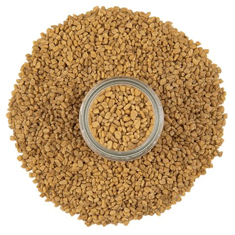 Fenugreek Seeds, Whole | Buy Fenugreek | The Spice House