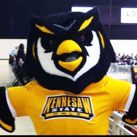 The New and Improved Scrappy 2012! | Kennesaw state, Kennesaw state ...