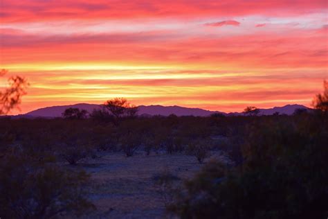 Visit Wickenburg: 2021 Travel Guide for Wickenburg, Arizona | Expedia