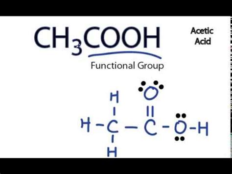 CH3COOH Lewis Structure (Acetic acid) - YouTube