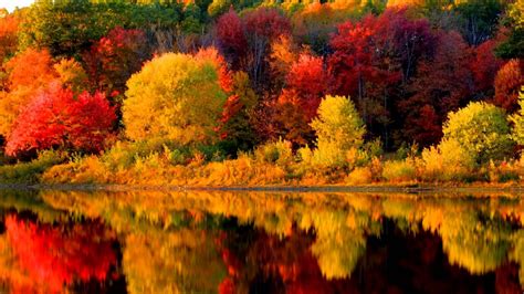 🔥 Free download New England Fall Wallpapers [1920x1080] for your ...