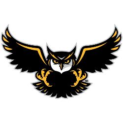 Kennesaw State Owls Alternate Logo | SPORTS LOGO HISTORY