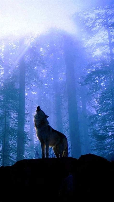 iPhone Wallpapers Wolf Howling - Wolf-Wallpapers.pro