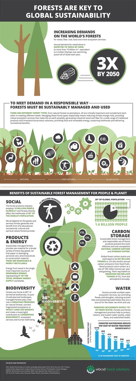 √ Forestry Sustainable Forest Management - Alumn Photograph