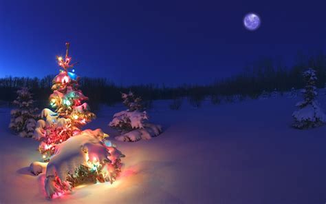 Christmas Tree Snow Wallpaper (73+ images)