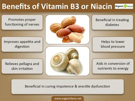 Health Benefits of Vitamin B3 or Niacin | Organic Facts