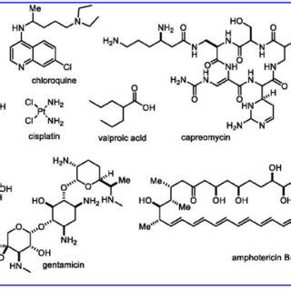 Wide ranging chemical structures of potentially ototoxic drugs ...