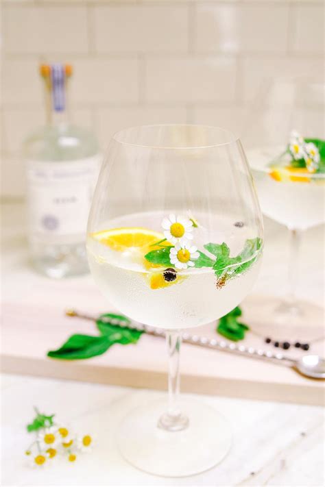 Spanish Gin and Tonic Recipe - Modern Glam - Recipes