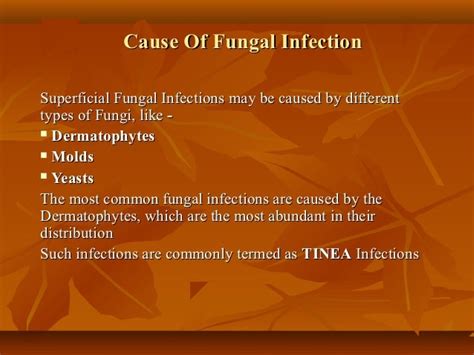 Pathophysiology Of Fungal Infection