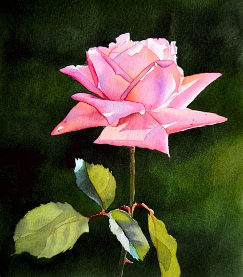 Pink Rose ORIGINAL watercolor painting floral painting pink