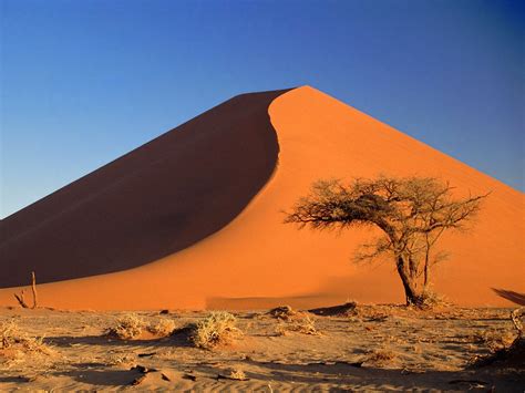 World Beautifull Places: Sand Dunes Of The Sahara Africa New Nice ...