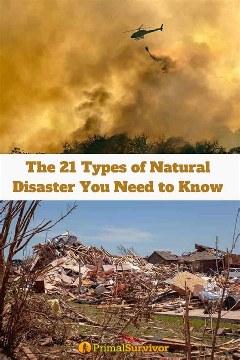 The 19 Types of Natural Disaster You Need to Know