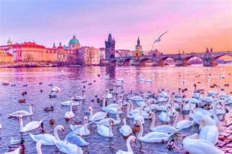 Prague River Cruises - Which One Is Best? - TourScanner