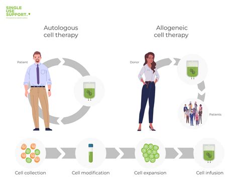 Autologous vs allogeneic cell therapy